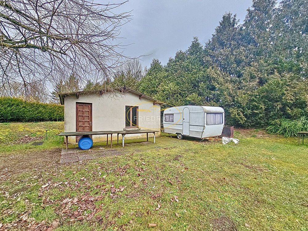 Vente Terrain TERRAIN DE LOISIRS AVEC ETANG ET MAISONNETTE Bar le duc
