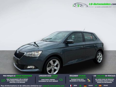 Annonce voiture Skoda Fabia 11499 €