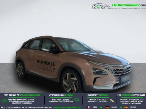 Nexo Hydrogene 163 ch 2020 occasion 31850 Beaupuy