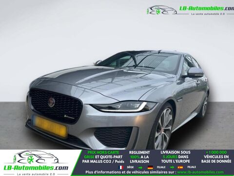XE P250 BVA 2019 occasion 31850 Beaupuy