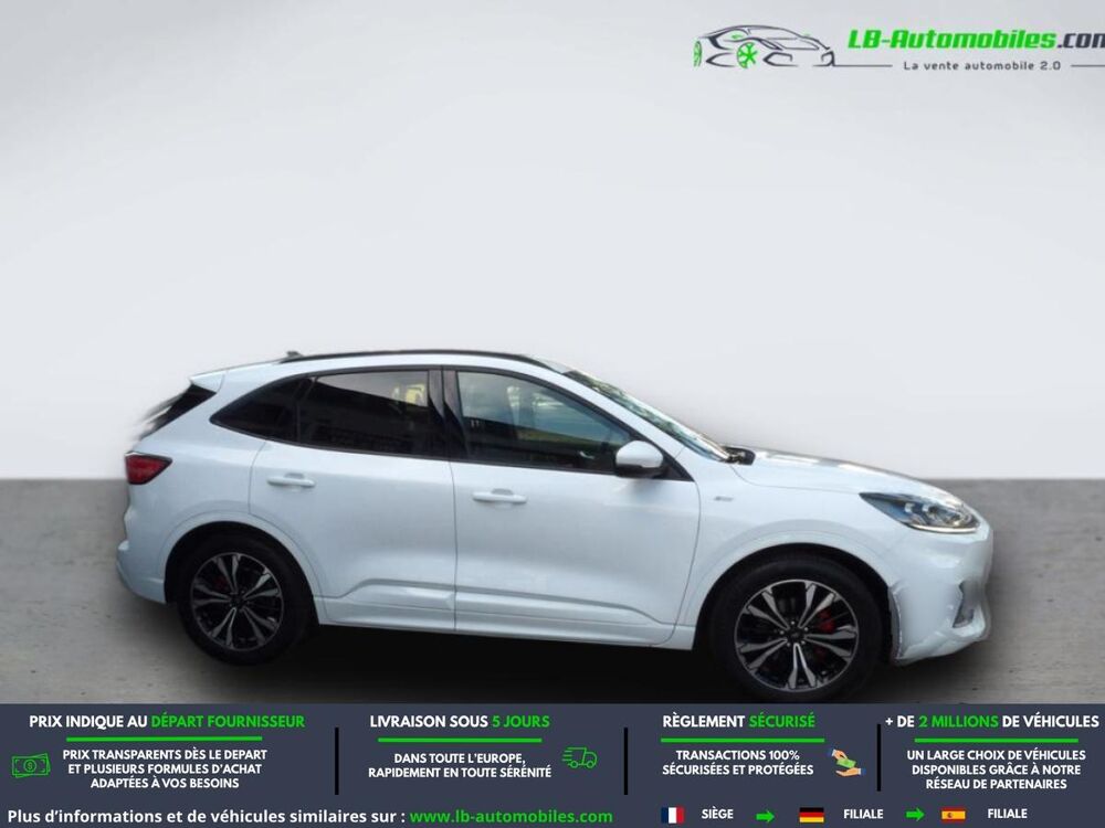 Kuga 1.5 EcoBlue 120 BVM 2020 occasion 31850 Beaupuy
