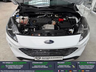 Kuga 2.0 EcoBlue 150 mHEV BVM 2020 occasion 31850 Beaupuy