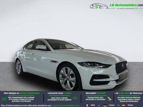 XE P250 BVA 2020 occasion 31850 Beaupuy