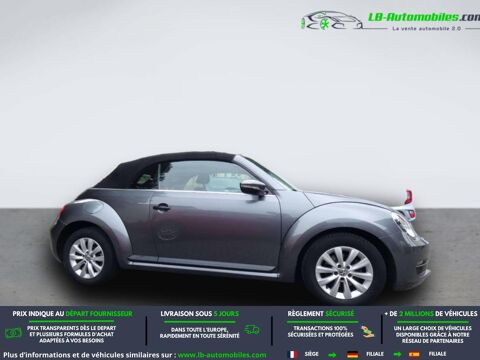 Beetle 2014 occasion 31850 Beaupuy