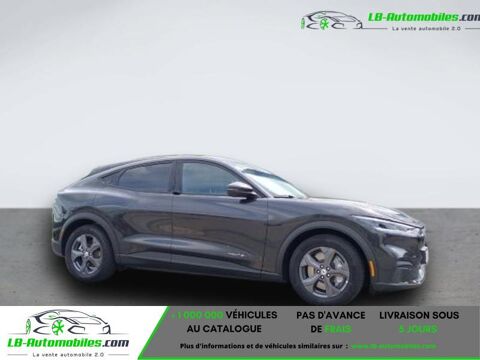 Image Annonce