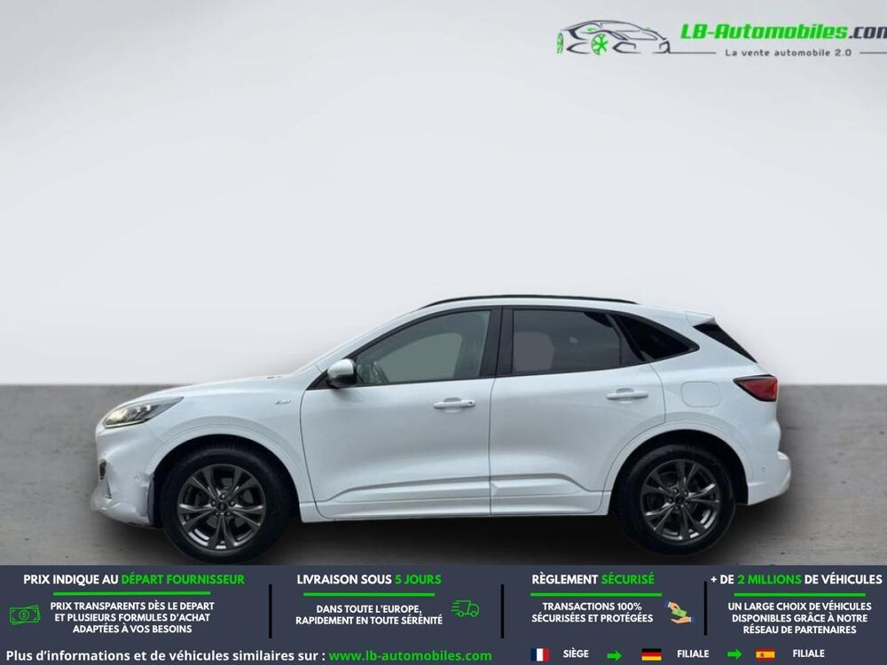Kuga 2.0 EcoBlue 190 BVA 2020 occasion 31850 Beaupuy