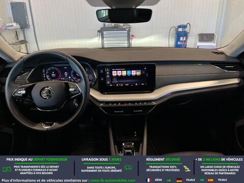 Octavia 2.0 TDI 116 ch BVA 2024 occasion 31850 Beaupuy