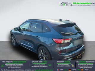 Kuga 1.5 EcoBlue 120 BVA 2020 occasion 31850 Beaupuy