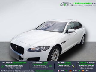 XF 180 ch BVA 2019 occasion 31850 Beaupuy