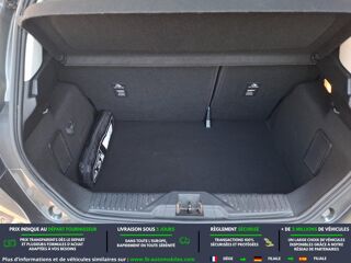 Fiesta 1.0 EcoBoost 95 ch BVM 2020 occasion 31850 Beaupuy