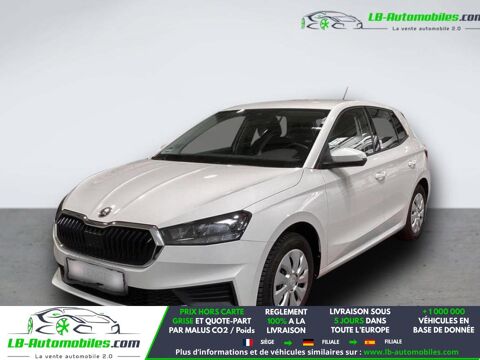 Annonce voiture Skoda Fabia 16880 €