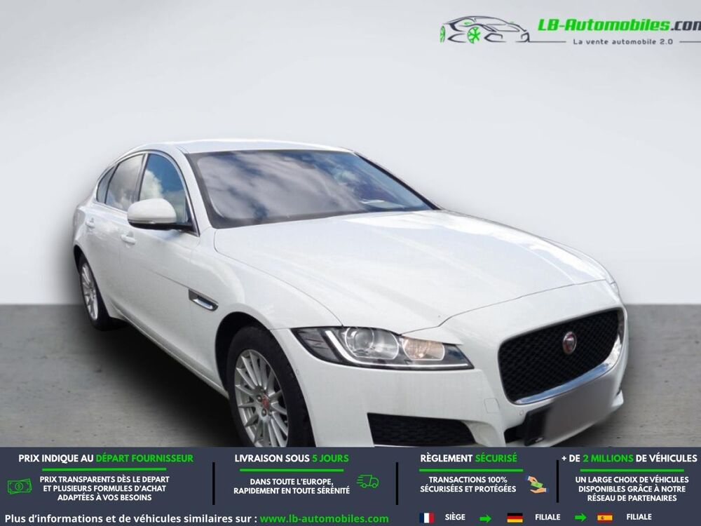XF 180 ch BVA 2019 occasion 31850 Beaupuy
