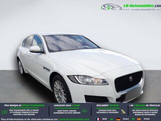 XF 180 ch BVA 2019 occasion 31850 Beaupuy