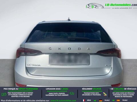 Octavia 2.0 TDI 150 ch BVA 4x4 2023 occasion 31850 Beaupuy