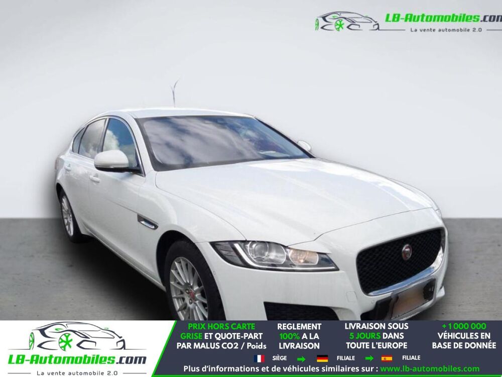 XF 180 ch BVA 2019 occasion 31850 Beaupuy