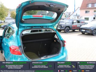Fiesta 1.0 EcoBoost 100 ch BVM 2017 occasion 31850 Beaupuy