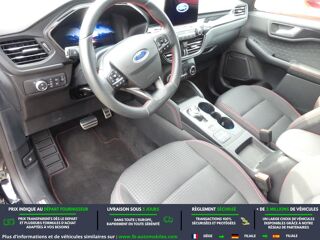 Kuga 2.0 EcoBlue 190 BVA 2020 occasion 31850 Beaupuy