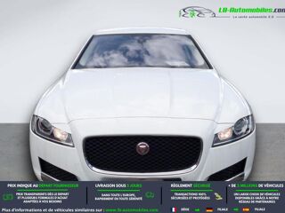 XF 180 ch BVA 2019 occasion 31850 Beaupuy