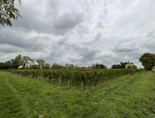  Terrain à vendre 8400 m²