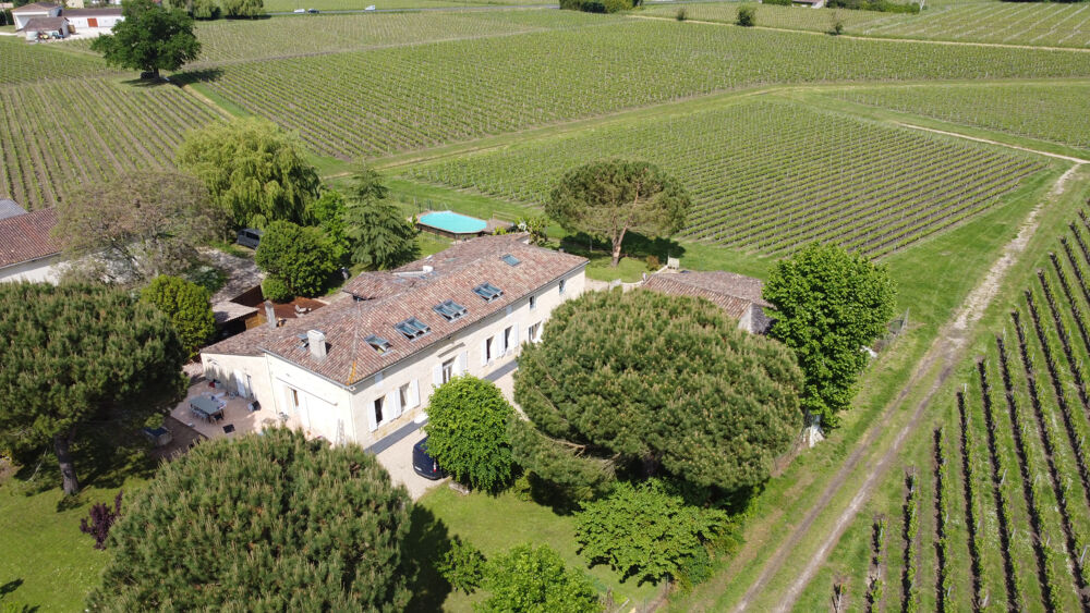 Aux portes de Saint-Émilion, propriété de caractère, 9 chambres et gîte indépendant avec piscine