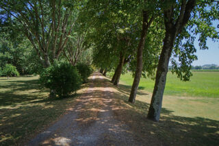 Propriété/château à vendre 15 + pièces 535 m²