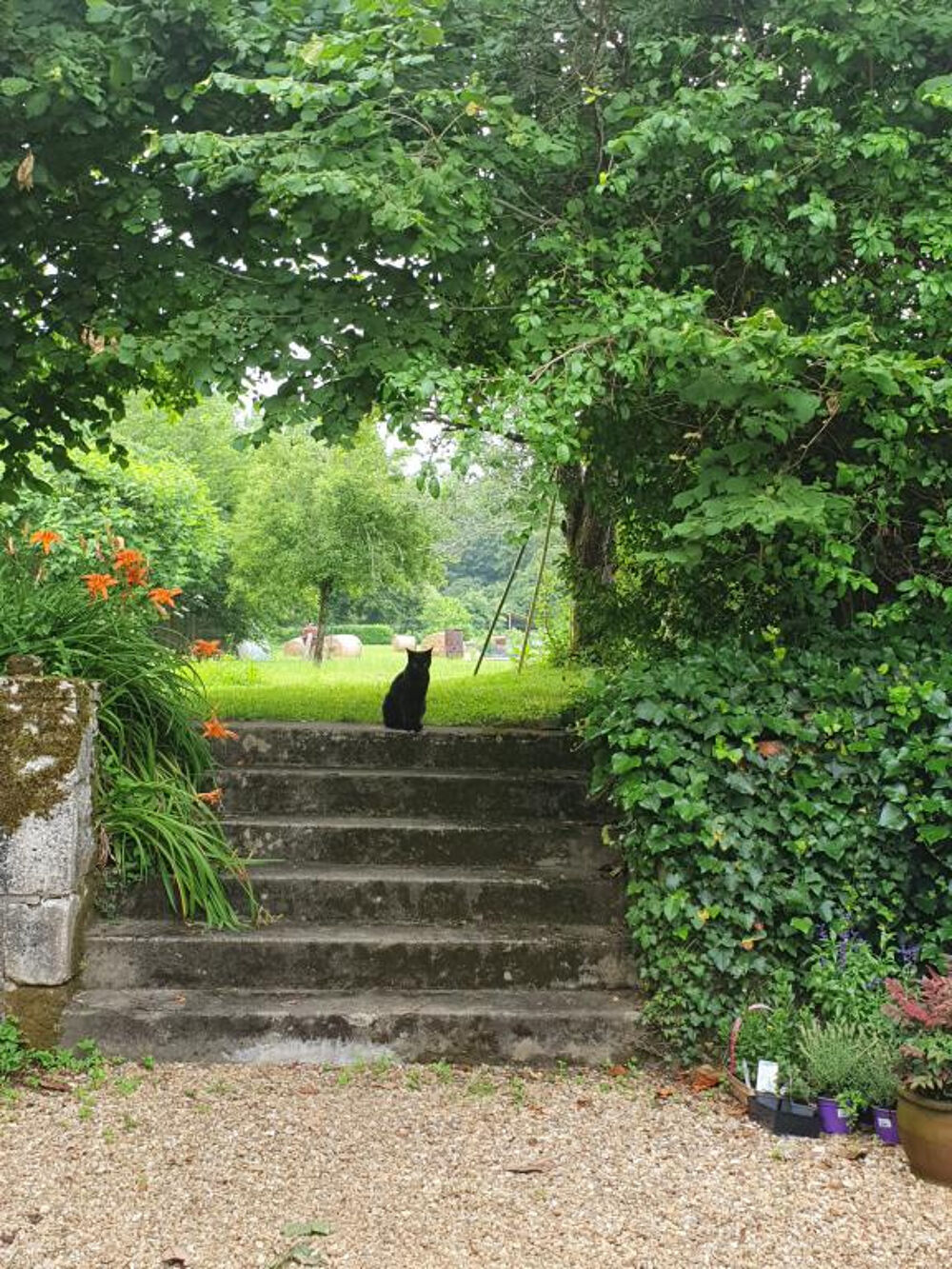 Vente Maison MAISON EN PIERRE BRANTOME 210 m2 Brantome