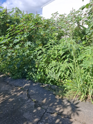  Terrain � vendre 240 m�