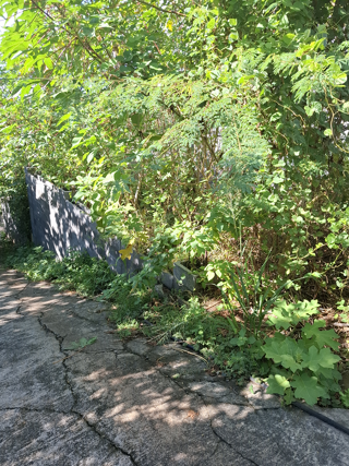  Terrain � vendre 240 m�