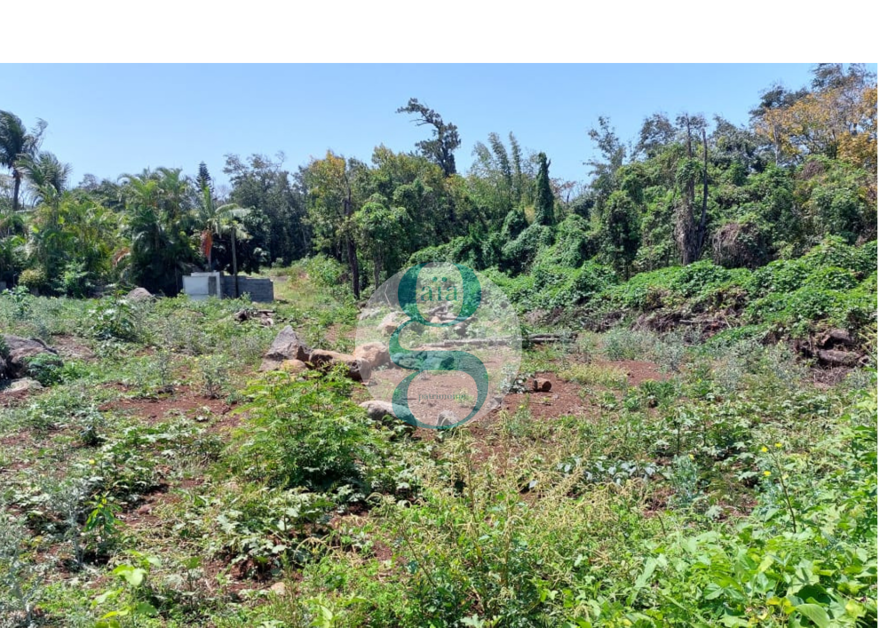 Vente Terrain Terrain de 1740m2 - Zone Artisanale - LA MARE - Ste Marie Ste marie