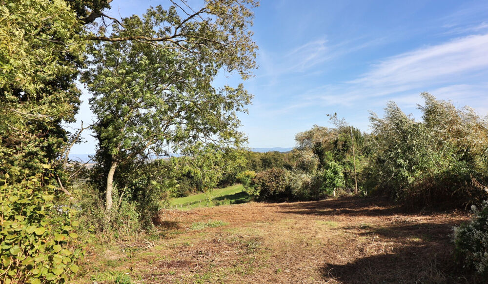 Vente Terrain NOUVELLE EXCLUSIVITE GATEWAY IMMOBILIER BEAU TERRAIN A SAINT-JULIEN-DE-COPPEL 63160 St julien de coppel