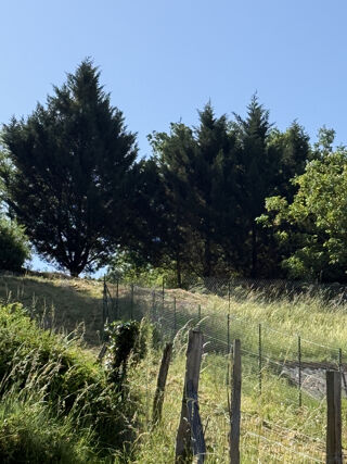  Terrain à vendre 535 m²