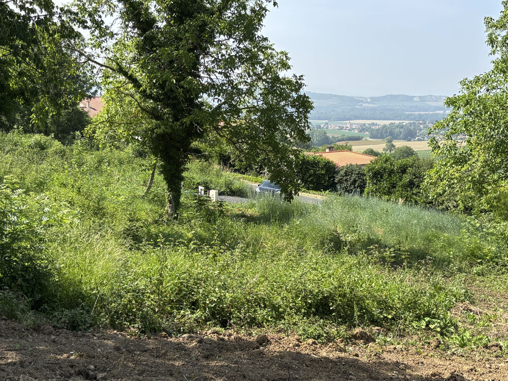 Vente Terrain À VENDRE   4 TERRAINS CONSTRUCTIBLES À SAINT-GEORGES-SUR-ALLIER   PETIT LOTISSEMENT PRIVILÉGIÉ St georges sur allier