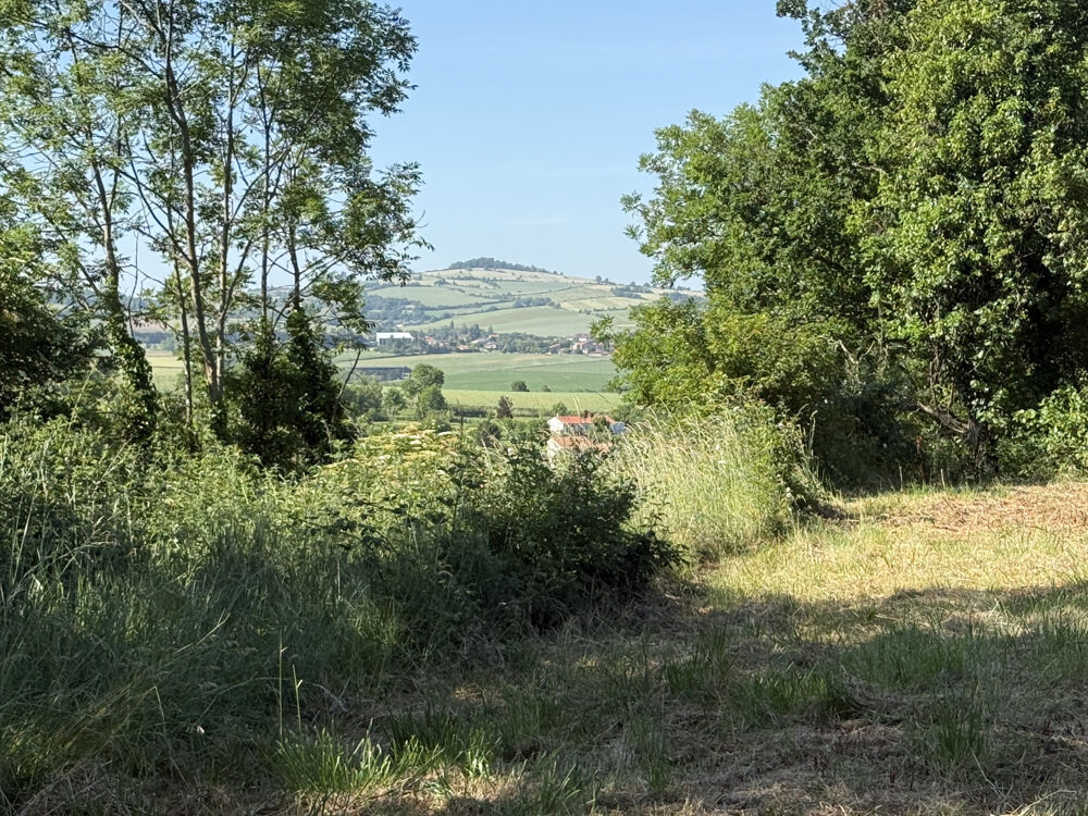 Vente Terrain TERRAIN CONSTRUCTIBLE   LAPS (63270) Laps