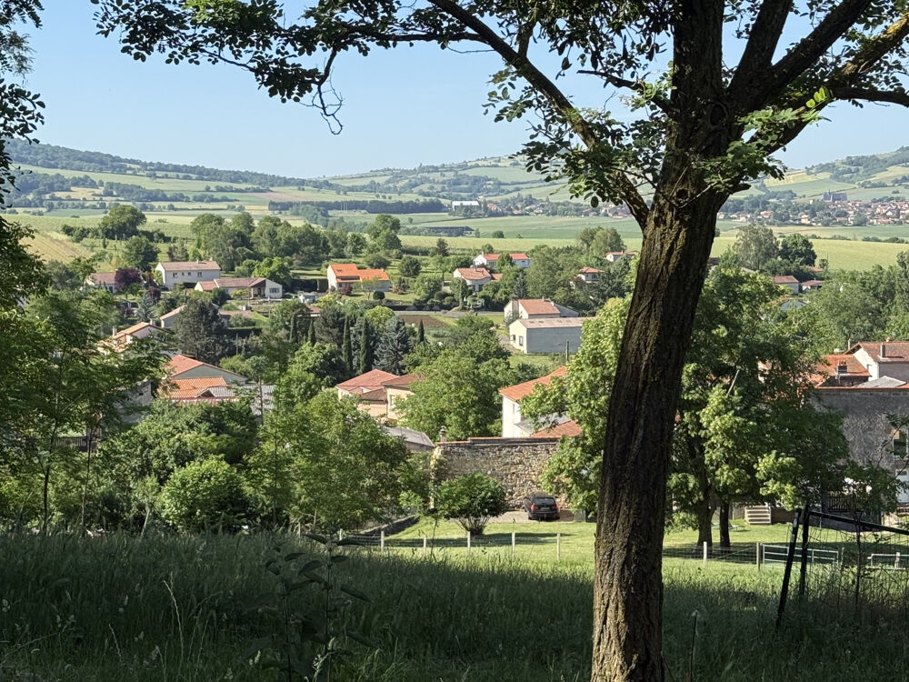 Vente Terrain TERRAIN CONSTRUCTIBLE   LAPS (63270) Laps