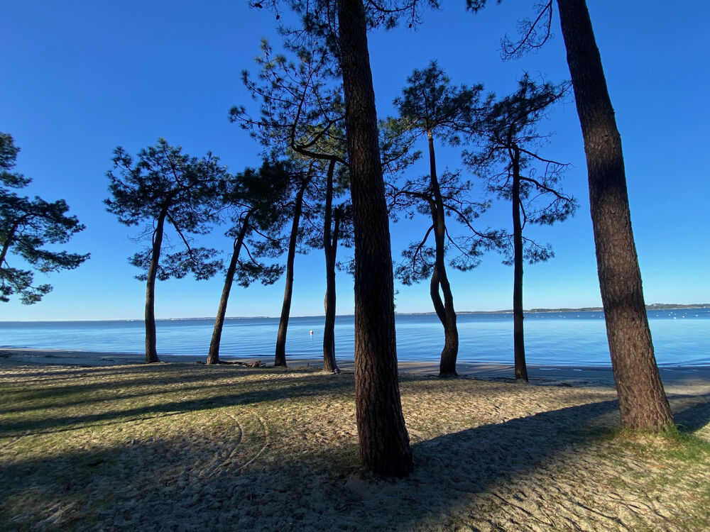  vendre  Maison Ars (33740)