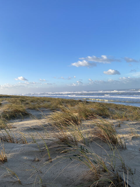   MAISON D'HABITATION  AVEC JARDIN ET LOCAUX COMMERCIAUX Propri�t�/ch�teau - 6 pi�ce(s) - 248 m�