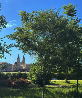  Appartement � vendre 5 pi�ces 87 m�