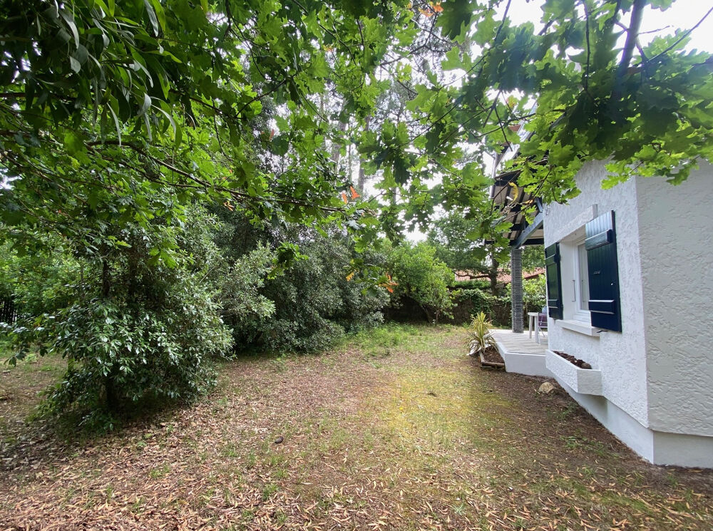  vendre  Maison Lge-Cap-Ferret (33950)