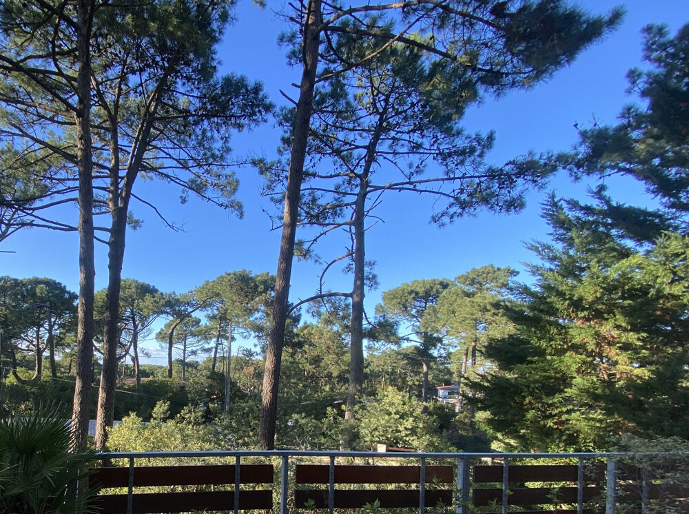 Vue BASSIN, Villa à rénover sur vaste jardin arboré