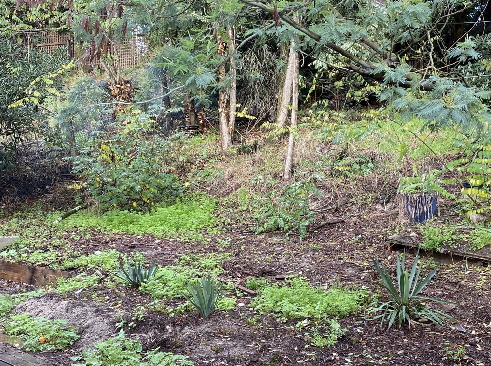  vendre  Maison Lge-Cap-Ferret (33950)