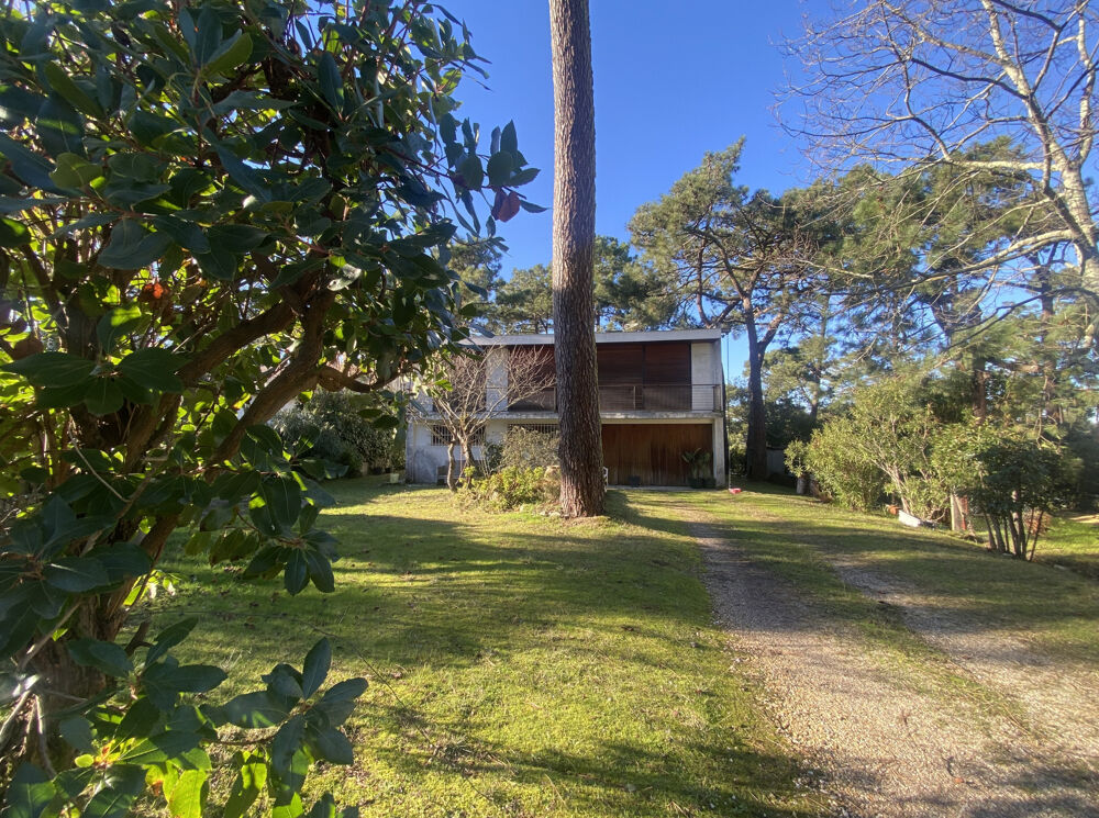 Vue BASSIN, Villa à rénover sur vaste jardin arboré