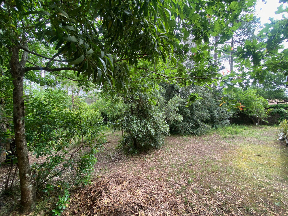  vendre  Maison Lge-Cap-Ferret (33950)