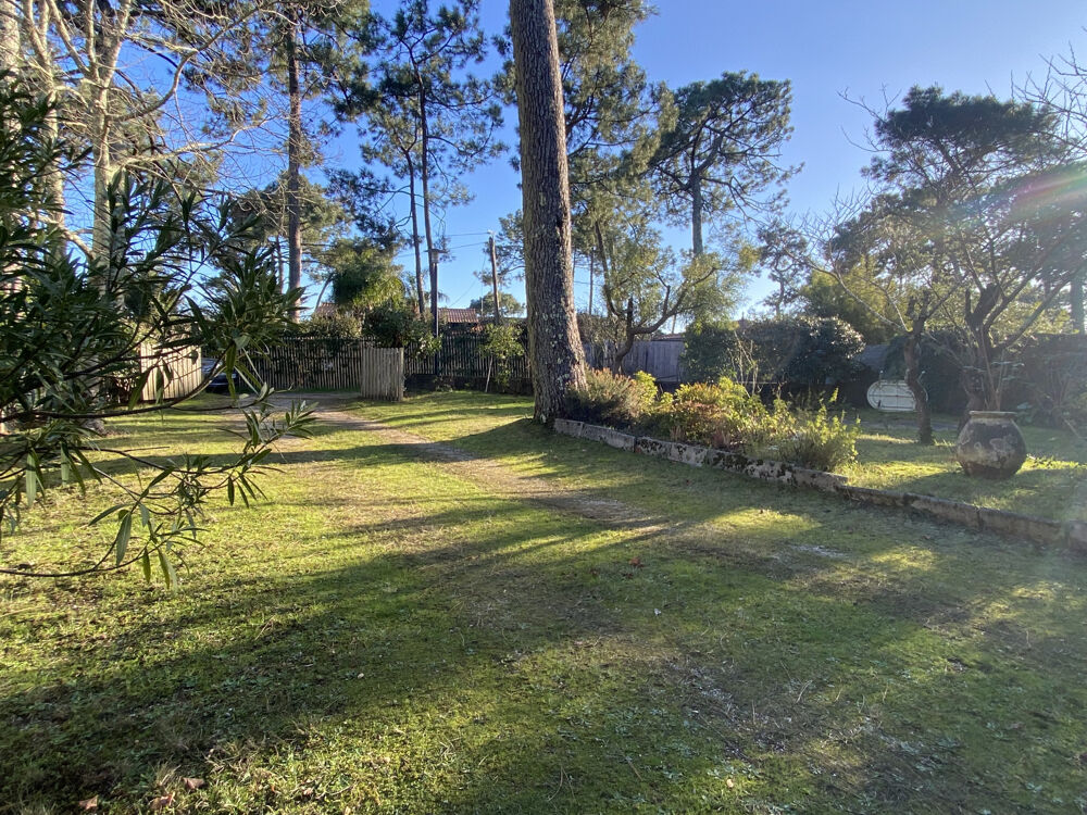 Vente Maison Vue BASSIN, Villa à rénover sur vaste jardin arboré Lege cap ferret