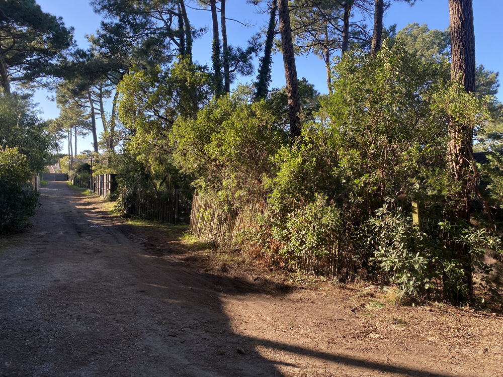 Vue BASSIN, Villa à rénover sur vaste jardin arboré