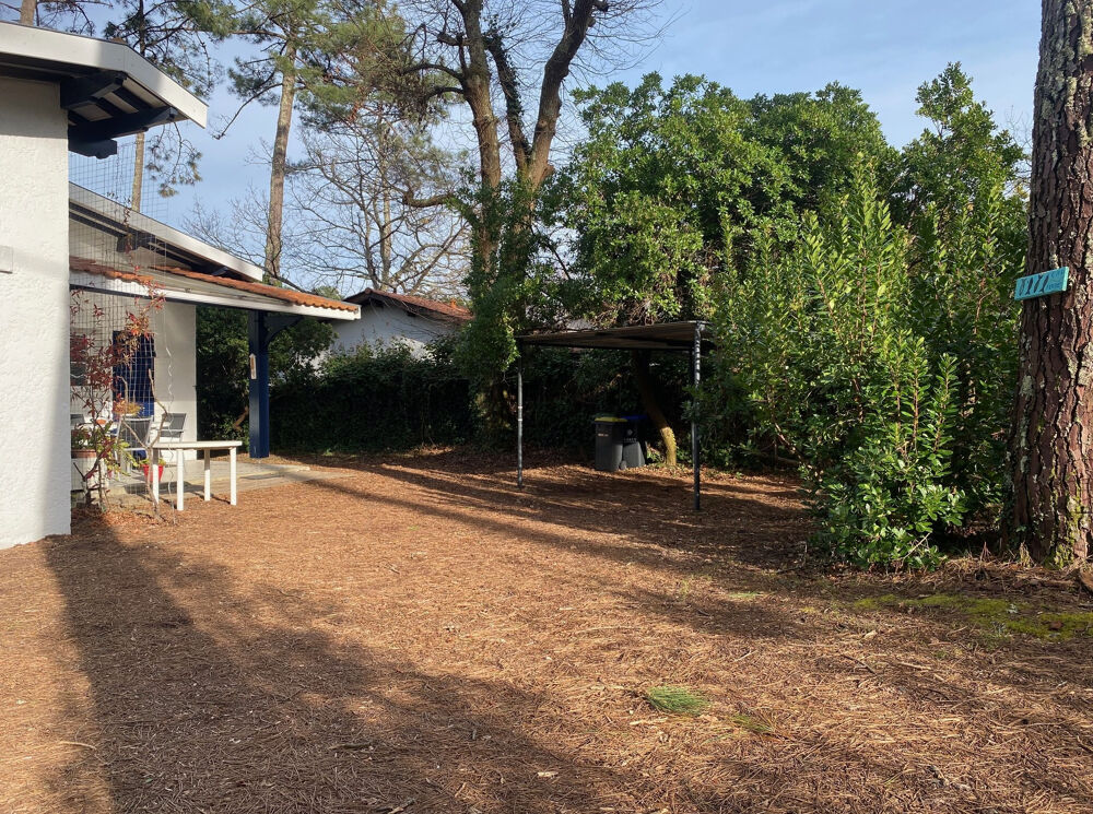  vendre  Maison Lge-Cap-Ferret (33950)