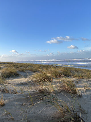  Propri�t�/ch�teau � vendre 6 pi�ces 248 m�