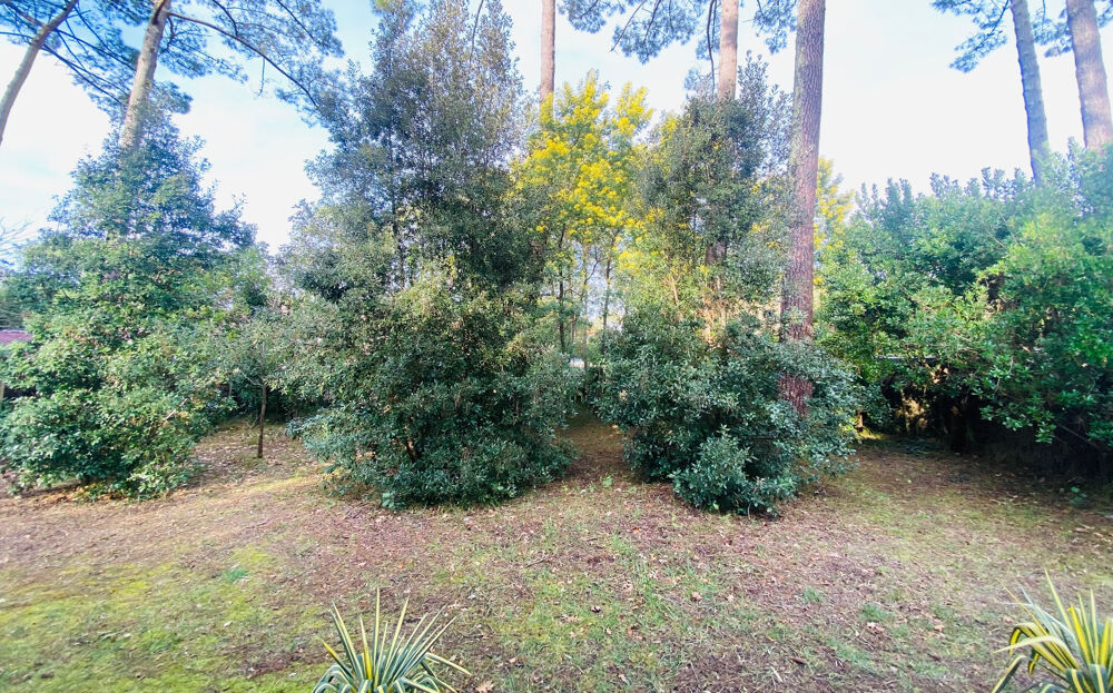  vendre  Maison Lge-Cap-Ferret (33950)