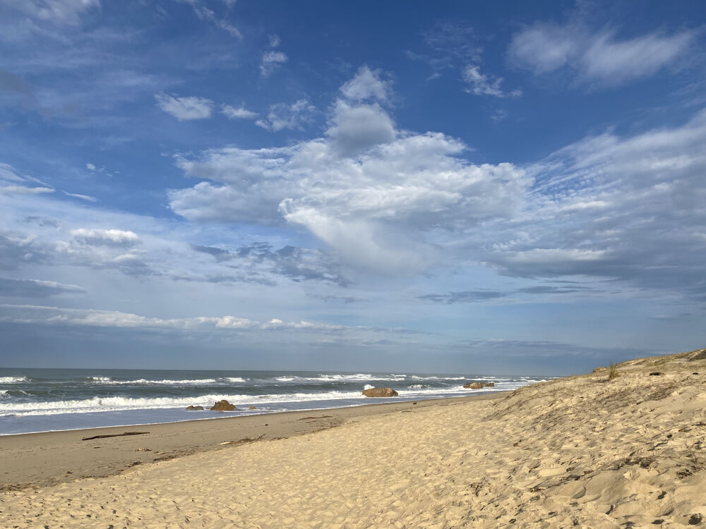  vendre  Maison Lge-Cap-Ferret (33950)