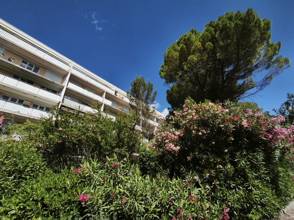 Appartement T3 Montpellier : Quartier Hôpitaux-Facultés - Aiguelongue