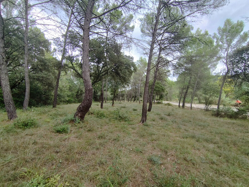 Vente Terrain TERRAIN NATUREL 4,7 HECTARES   FONTANÈS   PIC SAINT-LOUP Fontanes